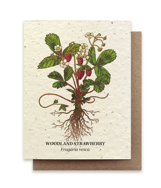 Strawberry | Plantable Wildflower Seed Card