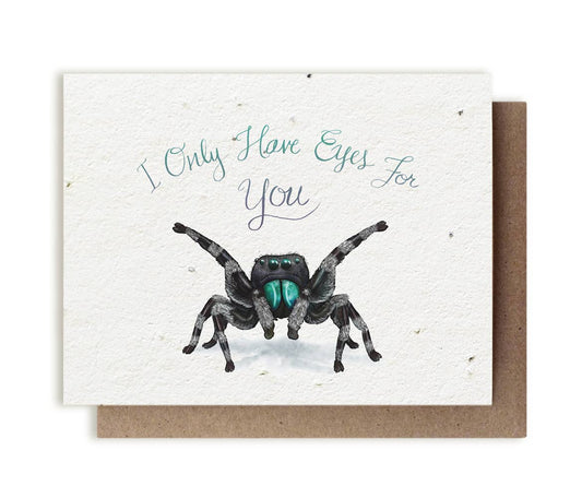 I Only Have Eyes for You Spider | Plantable Herb Seed Card