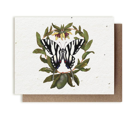 Zebra Swallowtail Butterfly & Pawpaw | Plantable Herb Card