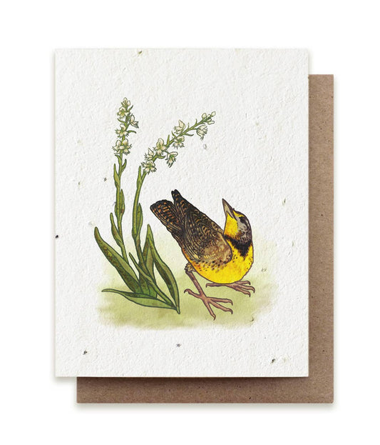 Meadowlark & Prairie Orchid | Plantable Herb Seed Card