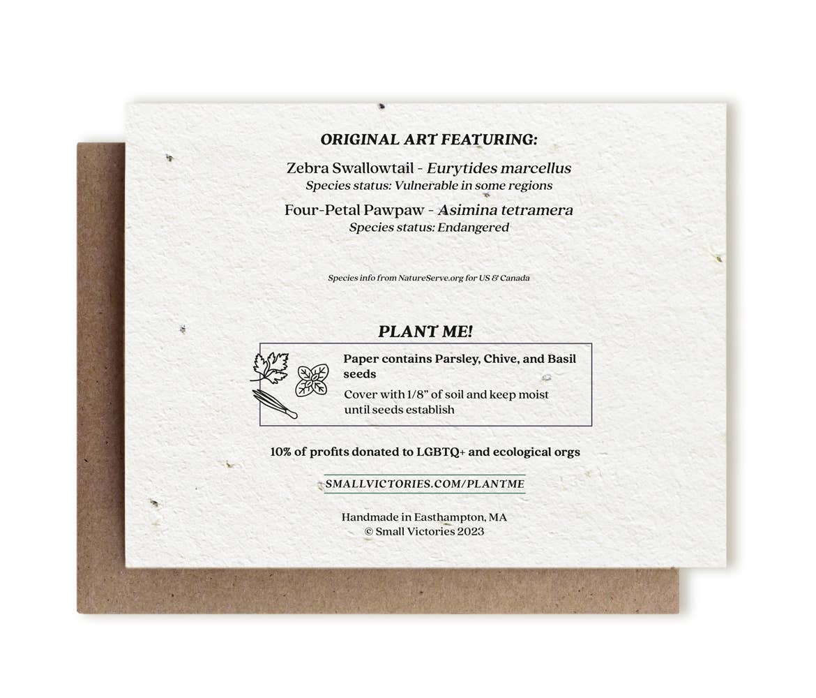 Zebra Swallowtail Butterfly & Pawpaw | Plantable Herb Card