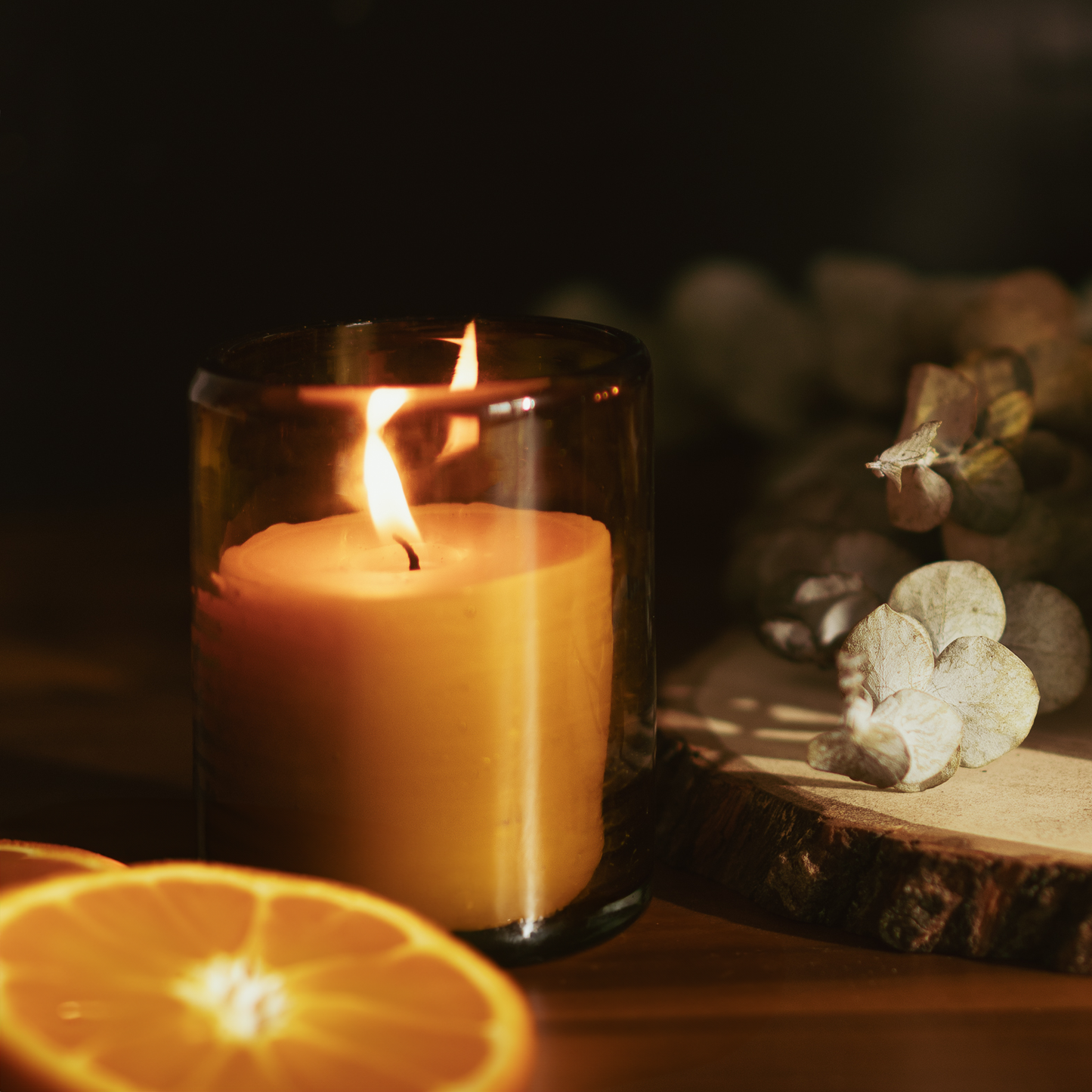 Beeswax Botanica in Blown Glass - 8oz Fall Scent Trio