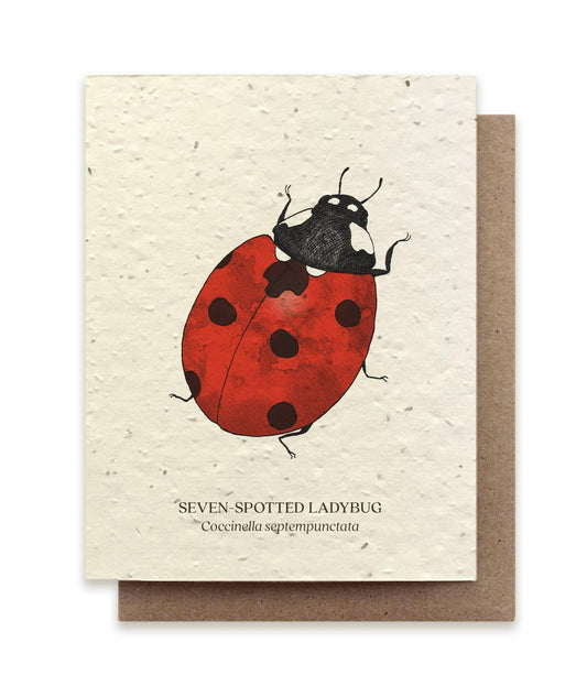 Seven-Spotted Ladybug | Plantable Wildflower Card - Bluecorn Candles
