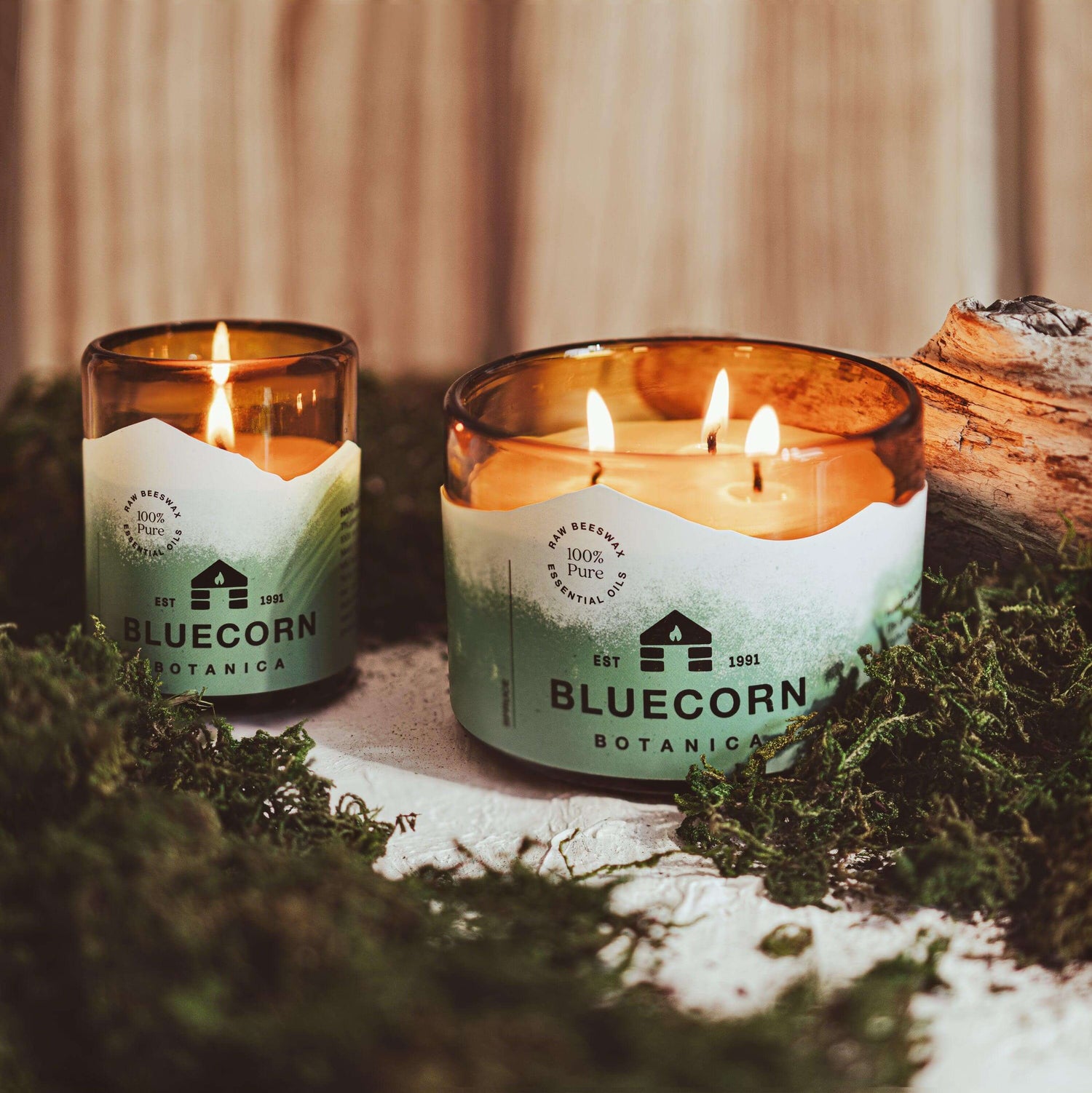 Amber glassware candles, a 3-wick and single wick, with a soft green label reading Bluecorn Botanica. Spruce essential oils and pure beeswax.