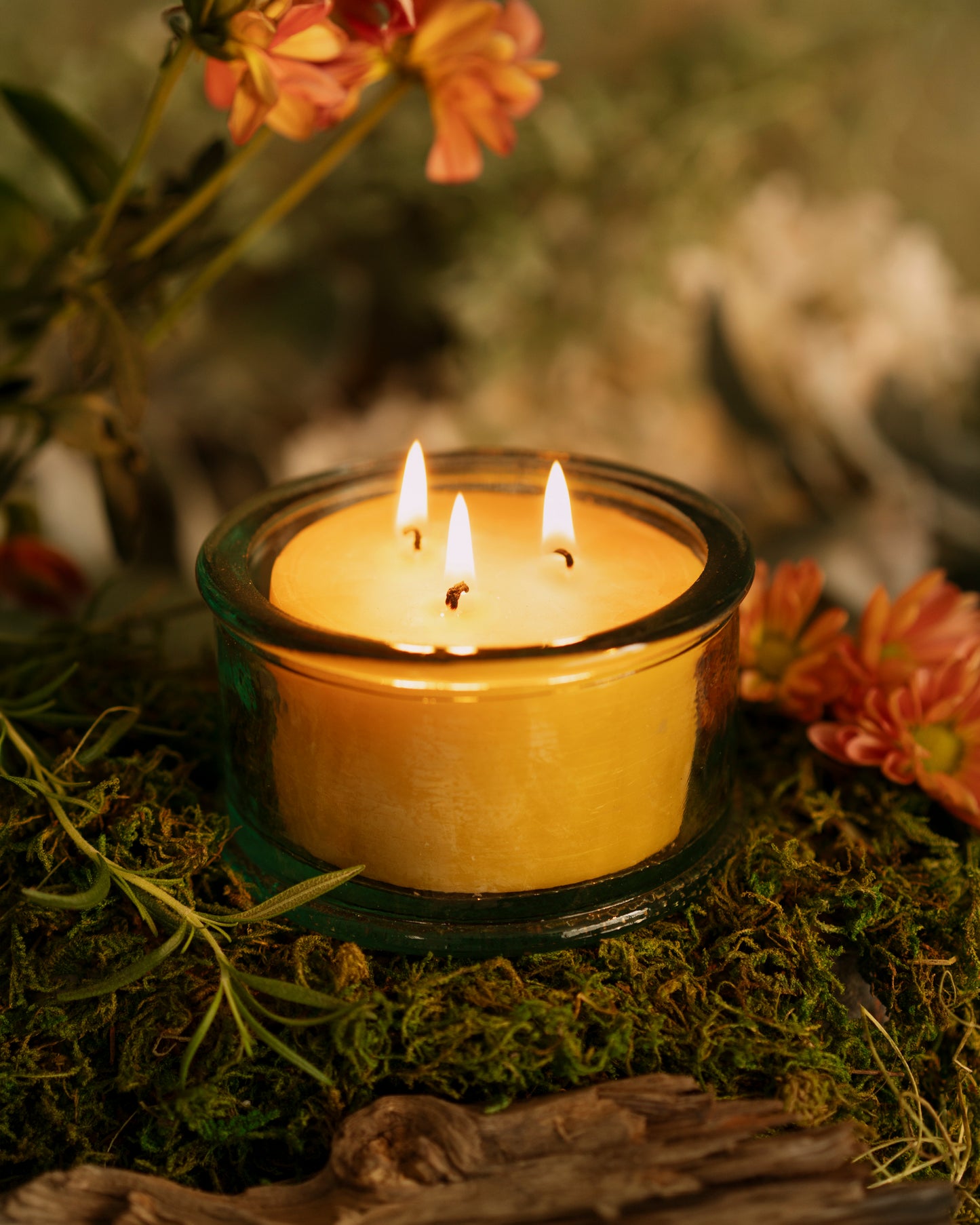 Botanica Beeswax Scented Candle - 3-Wick