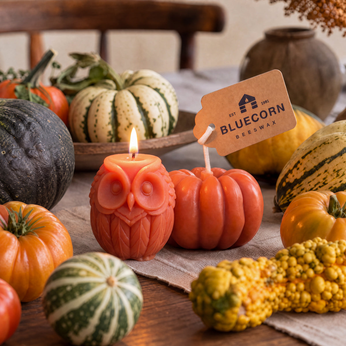Beeswax pumpkin shaped candles and an owl shaped candle on a rustic wooden table with gourds and pumpkins, tagged Bluecorn Beeswax.