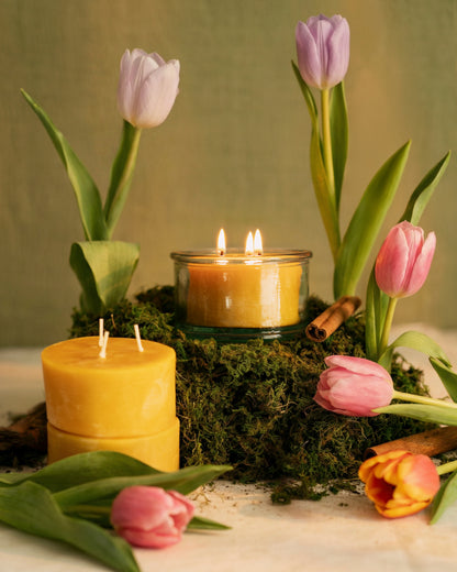 Botanica Beeswax Scented Candle - 3-Wick