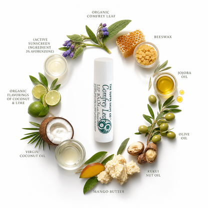 Lip balm with natural ingredients displayed around it on a white background