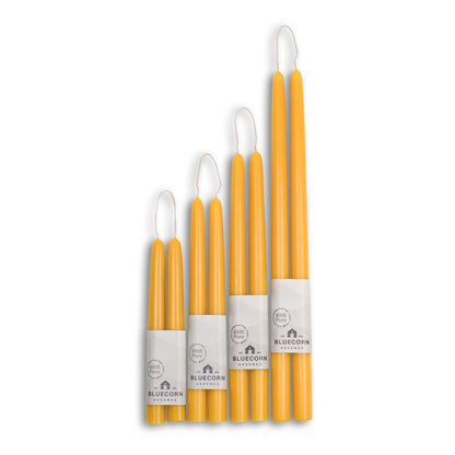 Pure beeswax taper candles from Bluecorn Candles. Image depicts all four lengths of hand-dipped beeswax tapers - 8", 10" , 12" and 16" long candlesticks. Yellow tapered candles. Natural, non toxic candles.