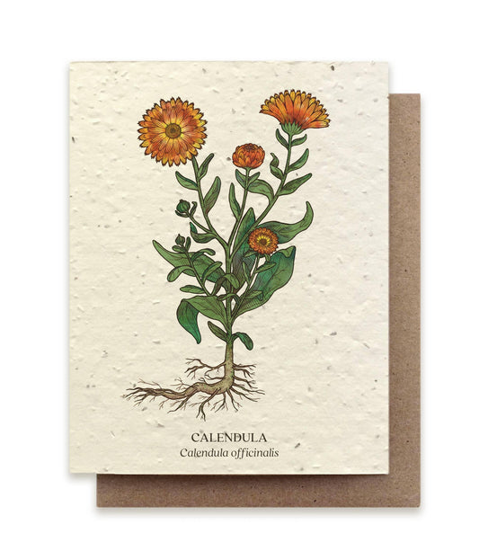 Calendula | Plantable Wildflower Card - Bluecorn Candles