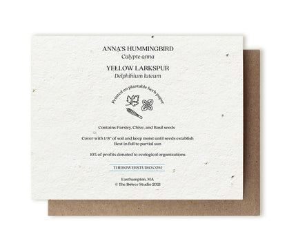 Anna's Hummingbird & Yellow Larkspur | Plantable Herb Card - Bluecorn Candles