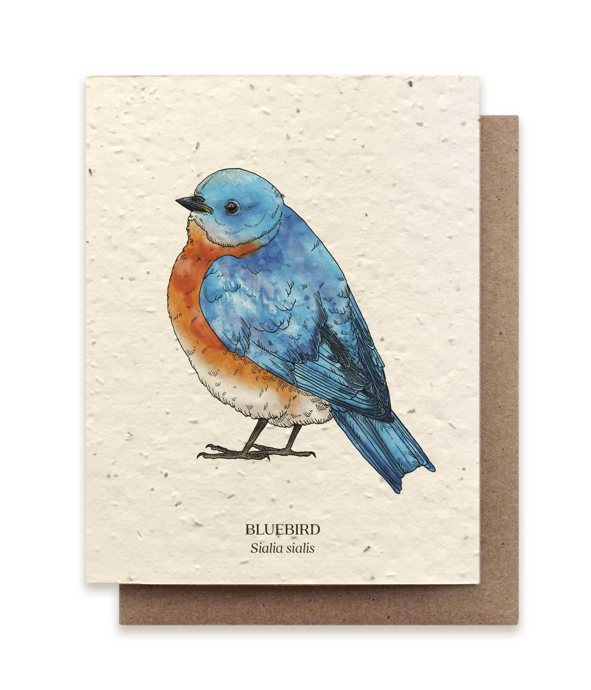 Bluebird | Plantable Wildflower Card - Bluecorn Candles