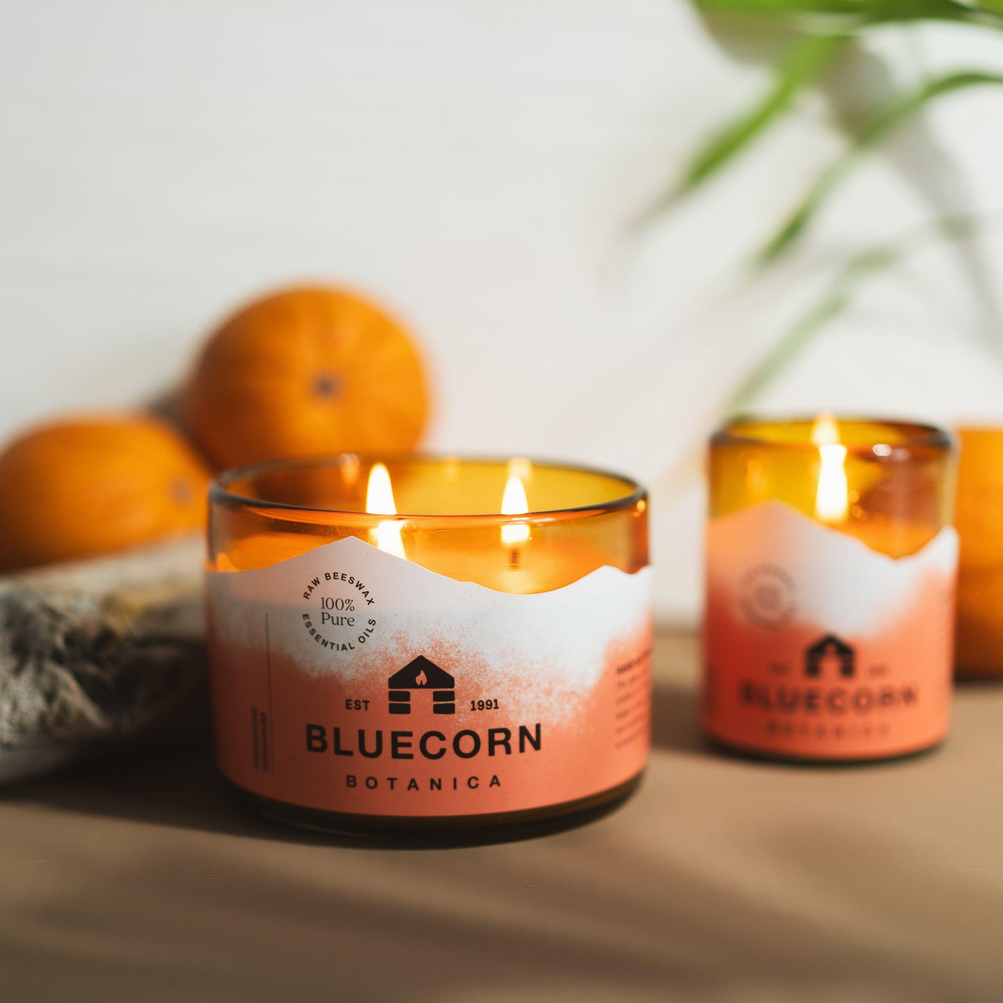 Bluecorn Beeswax Botanica pure beeswax and essential oil candles in blown glass holders. Natural scented candles made with beeswax and essential oils of tangerine and geranium. oranges in the background