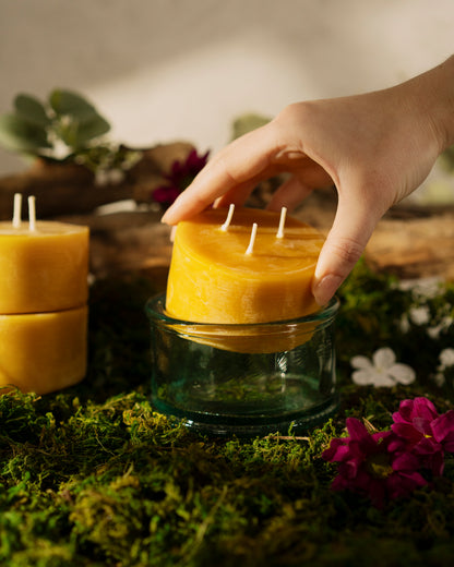 Botanica Beeswax Scented Candle - 3-Wick