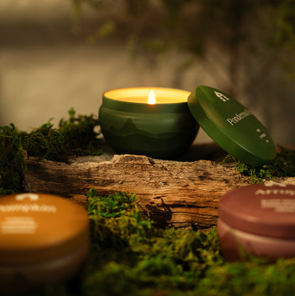 pine scented candle in a natural setting with moss and wood