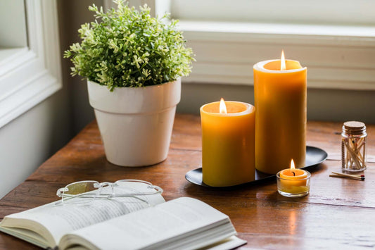 Candles, a plant, and an open book on a wooden table near a window.