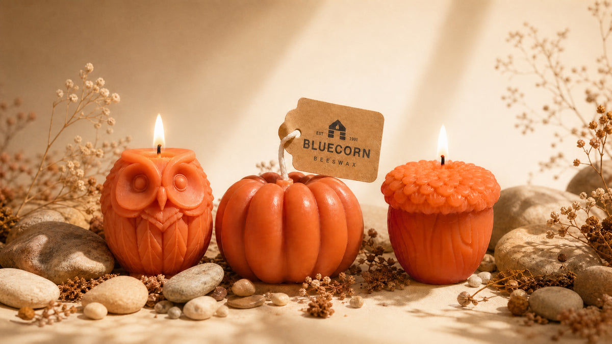 Three lit fall beeswax candles from Bluecorn: an owl shaped candle, a pumpkin shaped candle, and an acorn shaped candle, styled with stones and dried flowers.