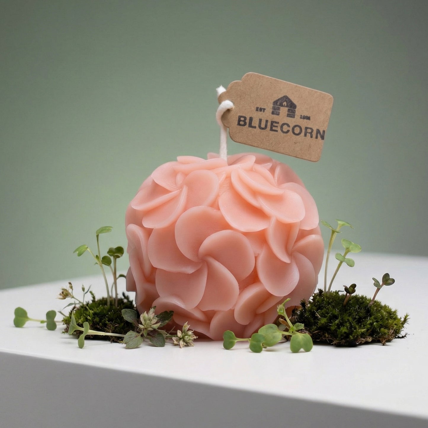  candles made with beeswax in the shape of hydrangea blossoms