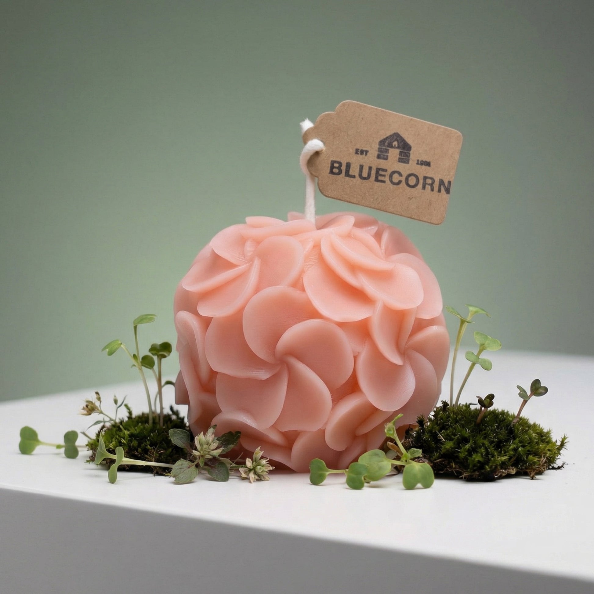  candles made with beeswax in the shape of hydrangea blossoms