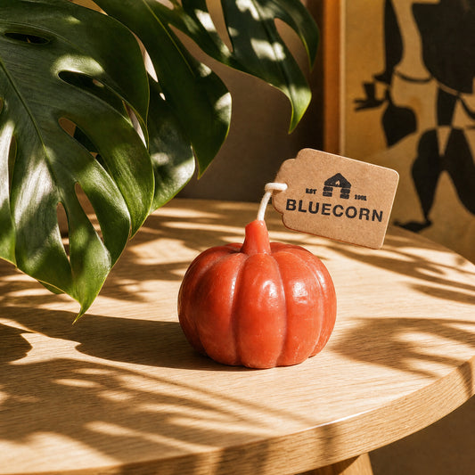 Beeswax pumpkin candles in terracotta, black and lilac styled with fall decor