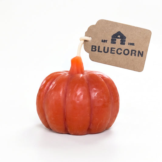 Terracotta pumpkin shaped beeswax candle by Bluecorn Candles on a white background