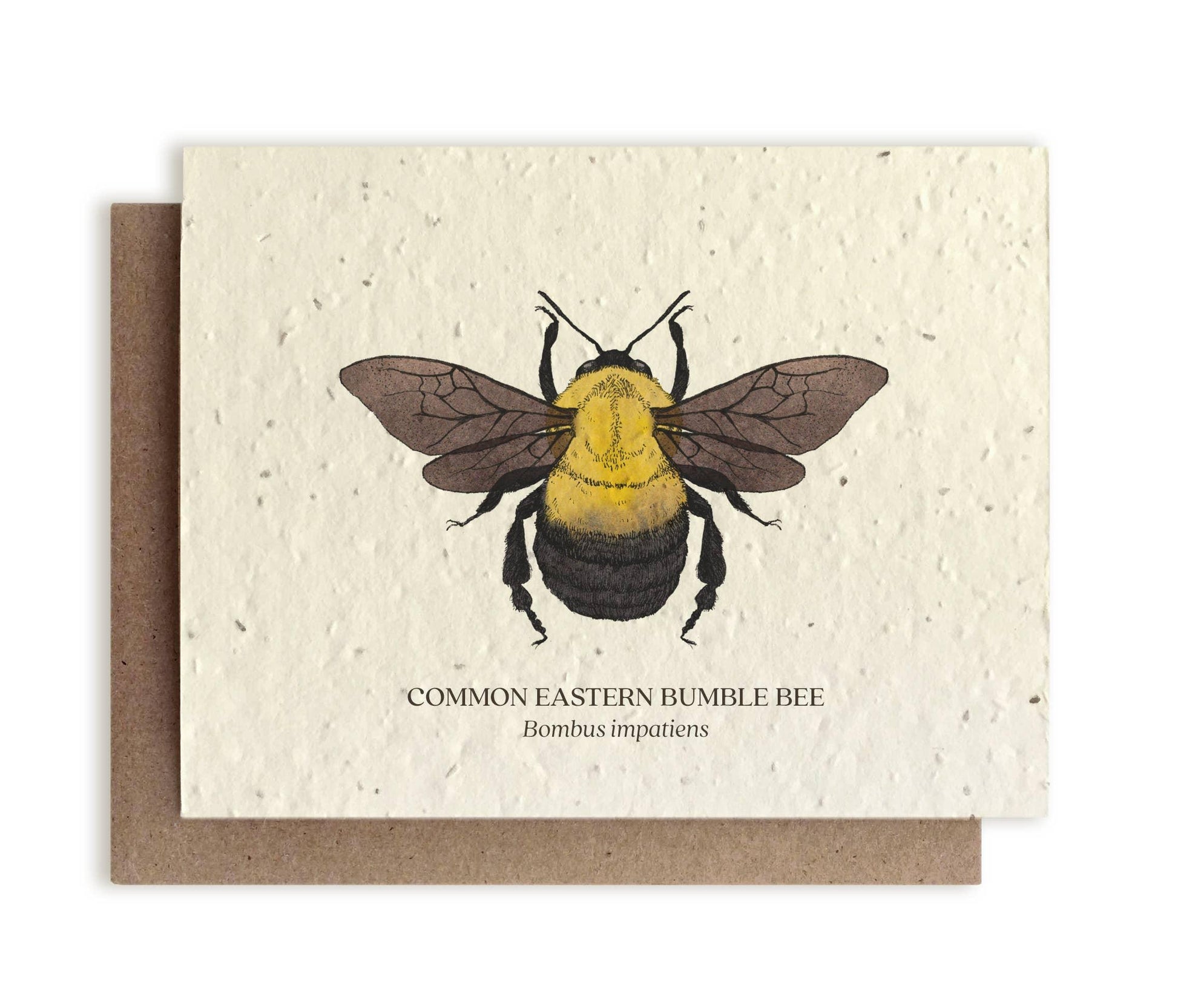 Bumble Bee | Plantable Wildflower Card - Bluecorn Candles