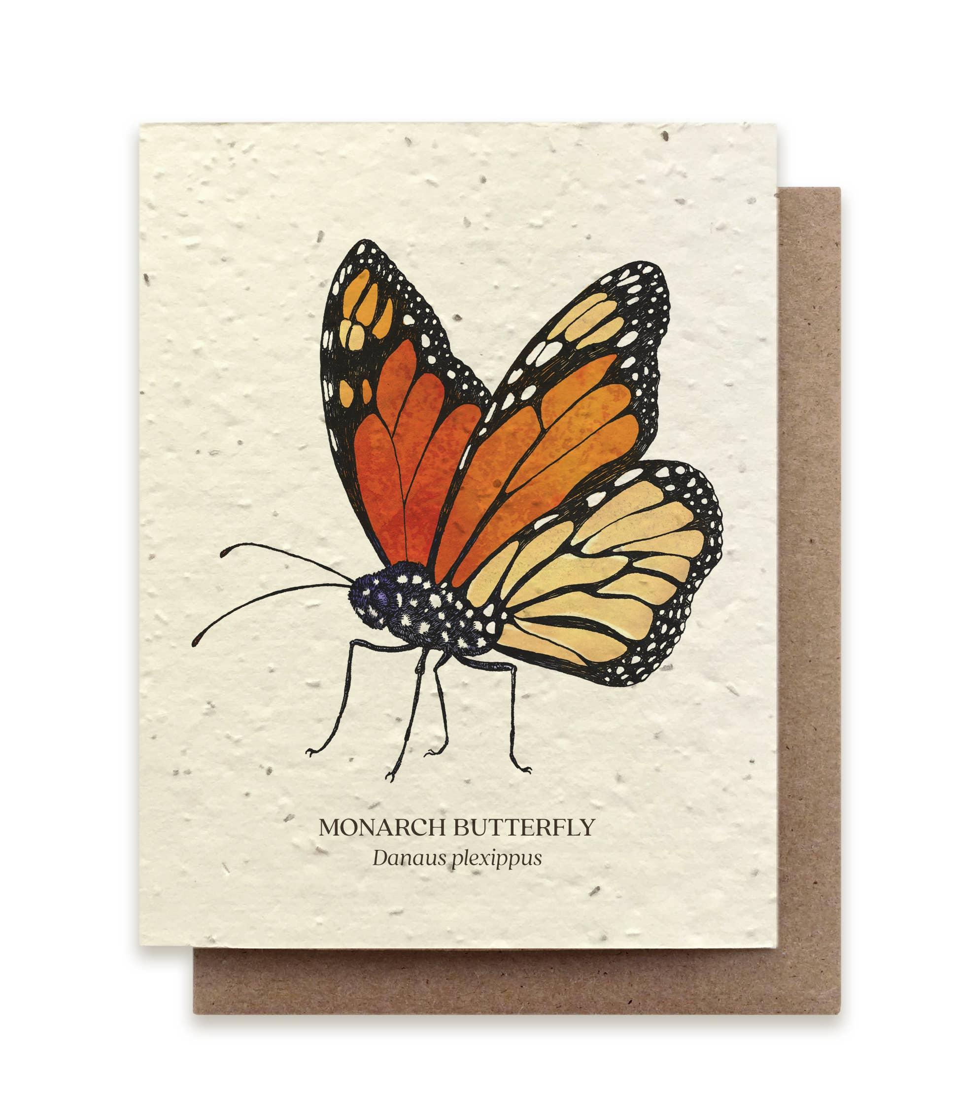 Monarch Butterfly | Plantable Wildflower Card - Bluecorn Candles