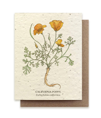 California Poppy | Plantable Wildflower Card - Bluecorn Candles