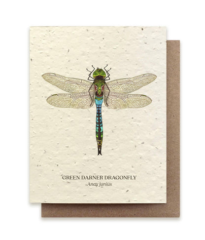 Green Darner Dragonfly | Plantable Wildflower Card - Bluecorn Candles
