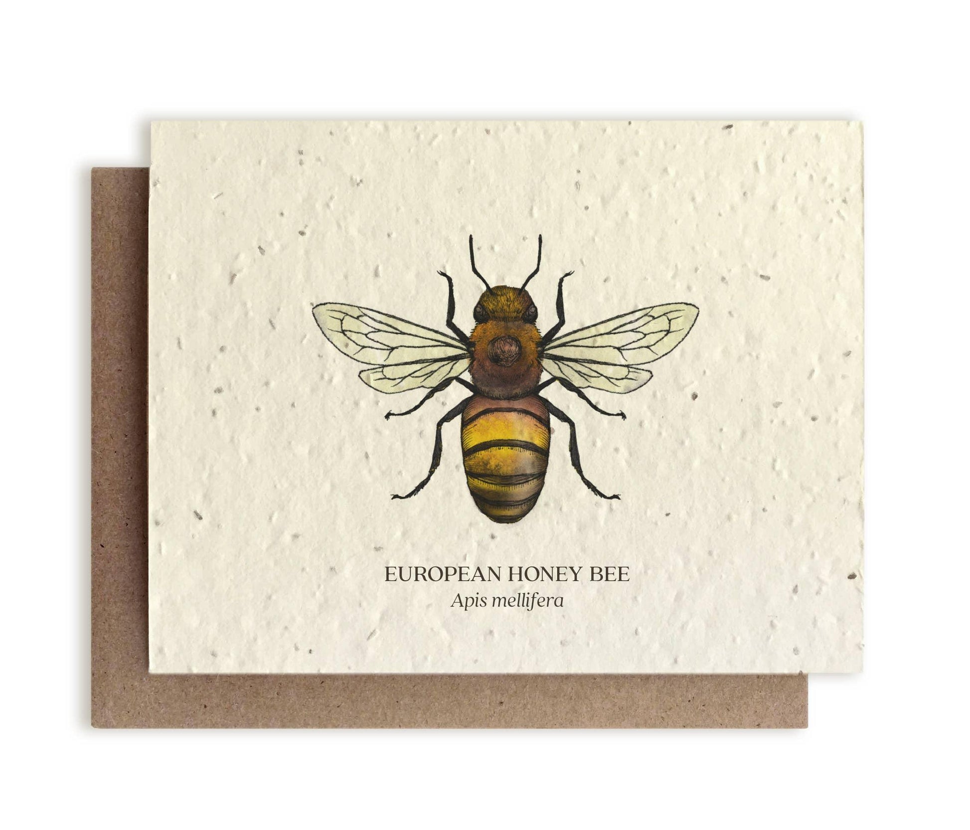 Honey Bee | Plantable Wildflower Card - Bluecorn Candles