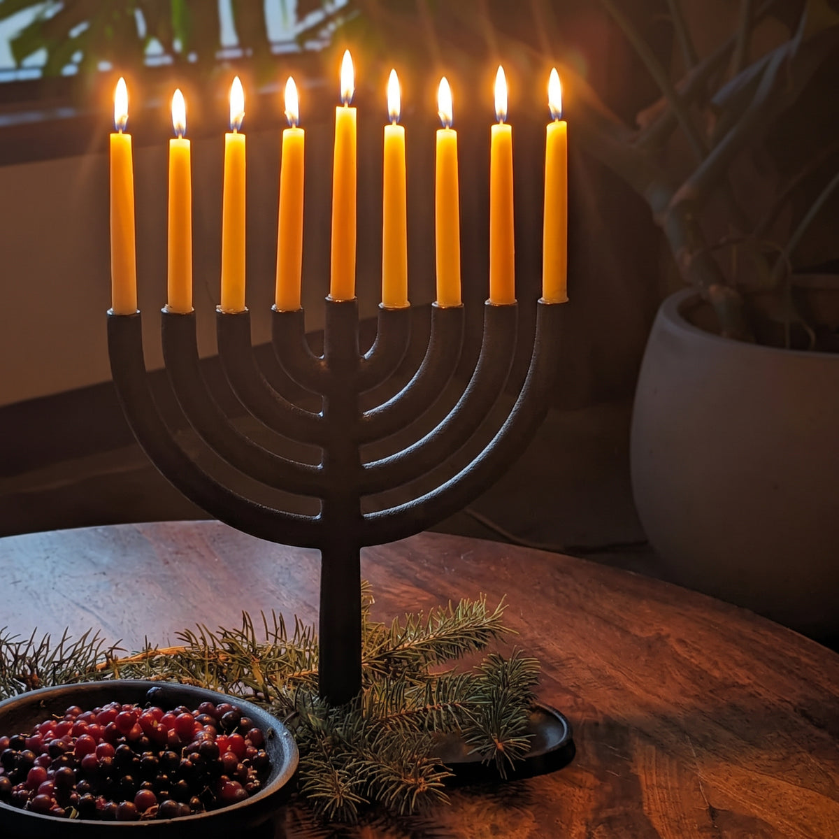 modern cast iron menorah with bluecorn beeswax hanukkah candles lit and glowing