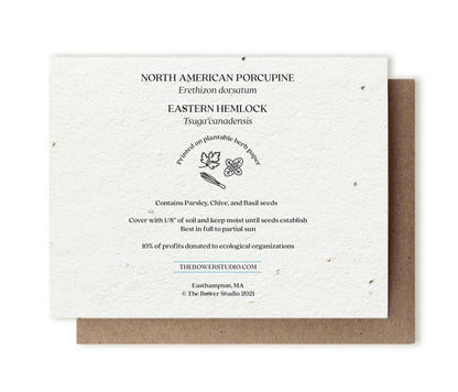 North American Porcupine & Hemlock | Plantable Herb Seed Card - Bluecorn Candles