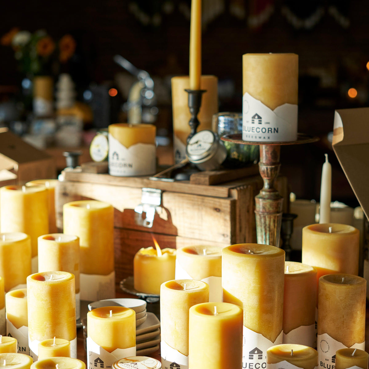 numerous pure beeswax pillar candles gathered together in the bluecorn beeswax mercantile