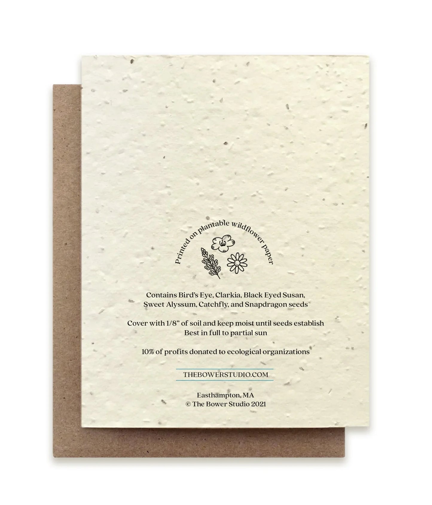 Seven-Spotted Ladybug | Plantable Wildflower Card - Bluecorn Candles